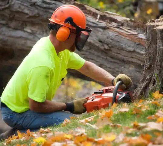 tree services Thompson